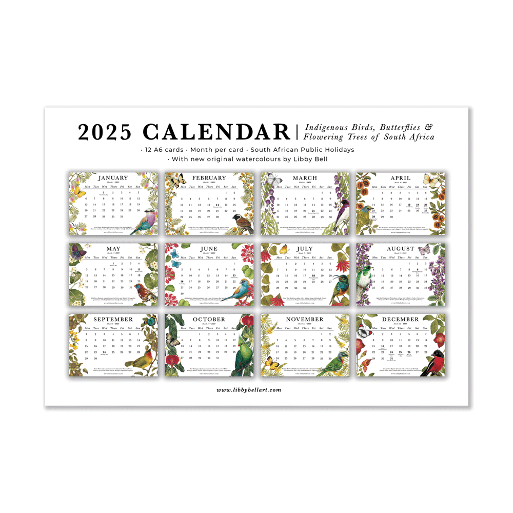 December 2025 Calendar With Holidays South Africa Printable