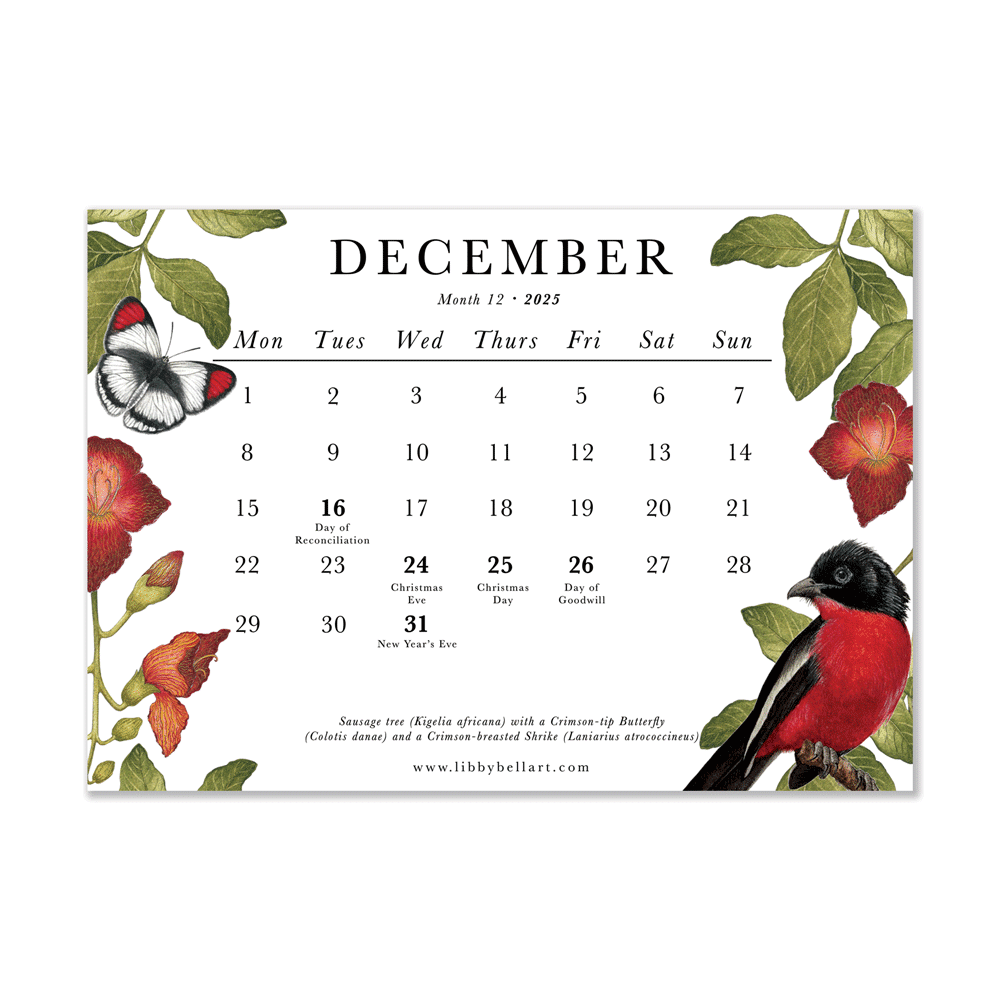 2025 Mini Calendar Indigenous Birds Butterflies And Flowering 