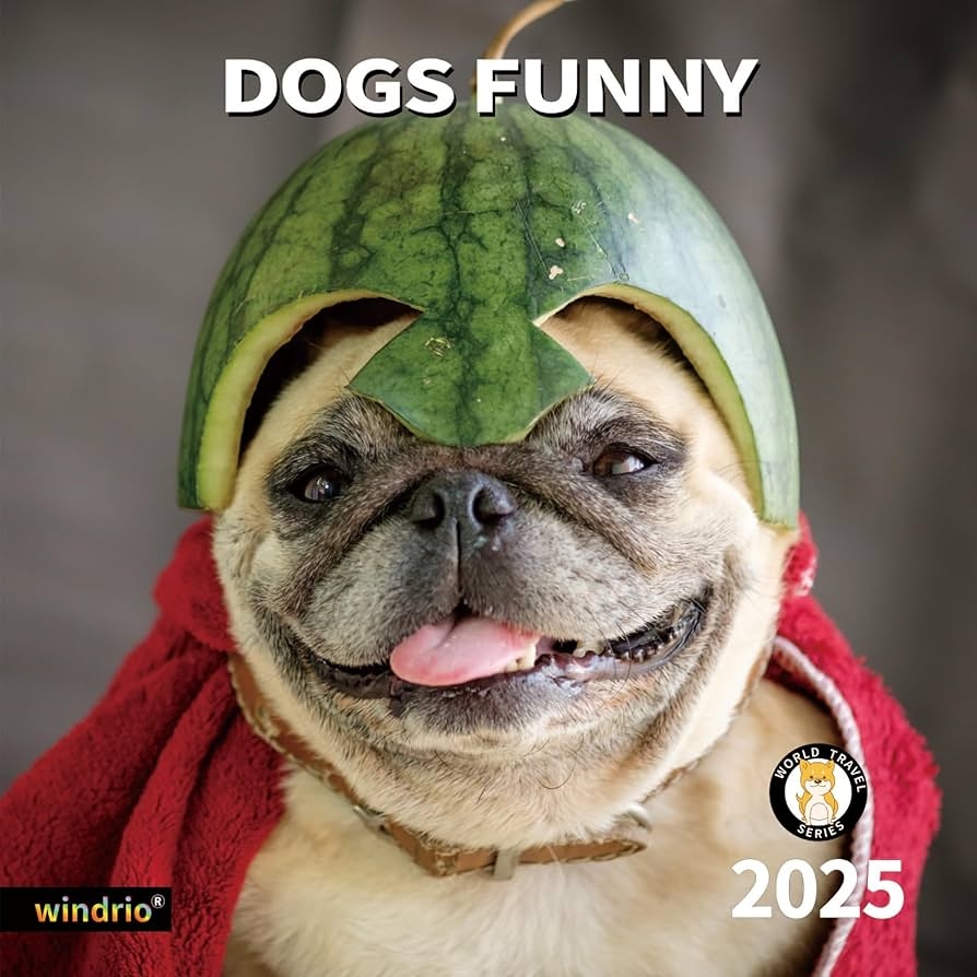 2025 Wall Calendar Funny Calendar 2025 January 2025 December 2025 Wall Calendar Funny Animal Memes 12