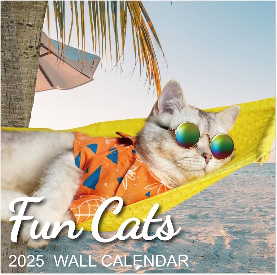 2025 Wall Calendar Funny Cat Calendar 2025 JAN 2025 DEC 2025 12