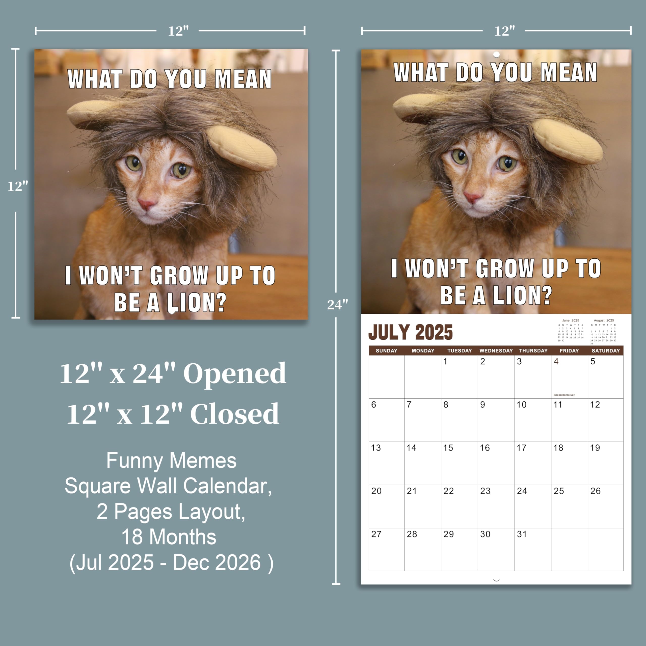 Amazon 2025 2026 Wall Calendar July 2025 December 2026 Funny Cat Calendar 2025 2026 18 Month Calendar Funny Cat Memes Pics 12