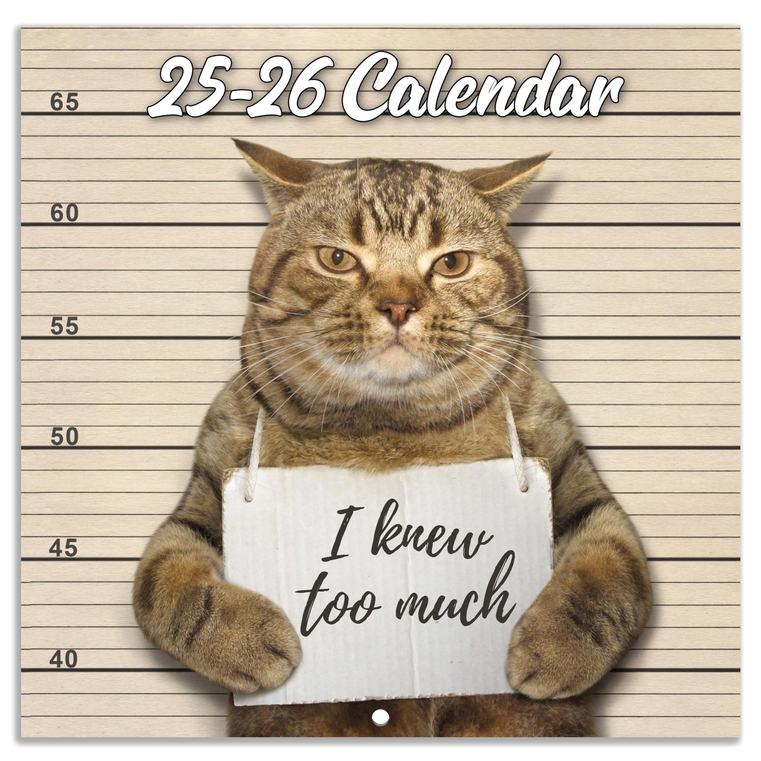 Fun December Calendar 2025