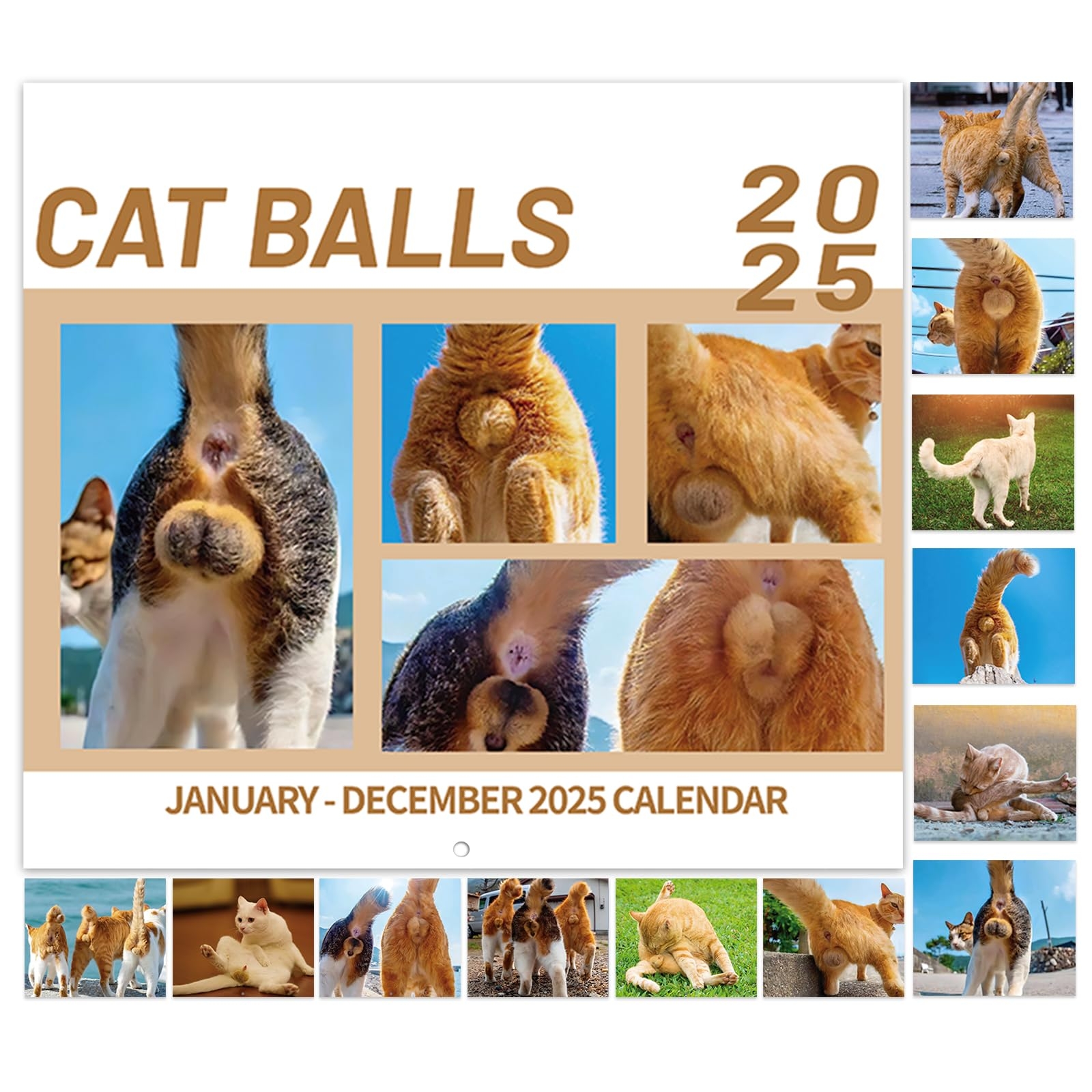 Amazon 2025 Calendar 2025 Wall Calendar Jan 2025 Dec 