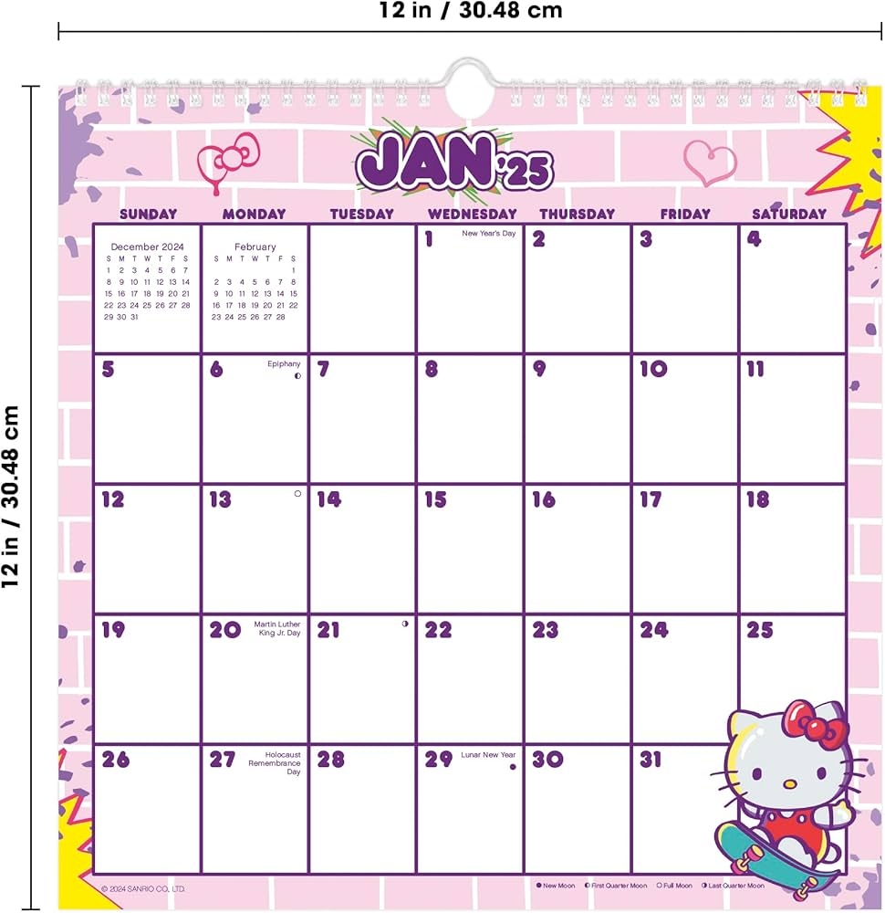 Amazon 2025 Hello Kitty U0026 Friends Spiral Wall Calendar 9798888281680 Trends International Books