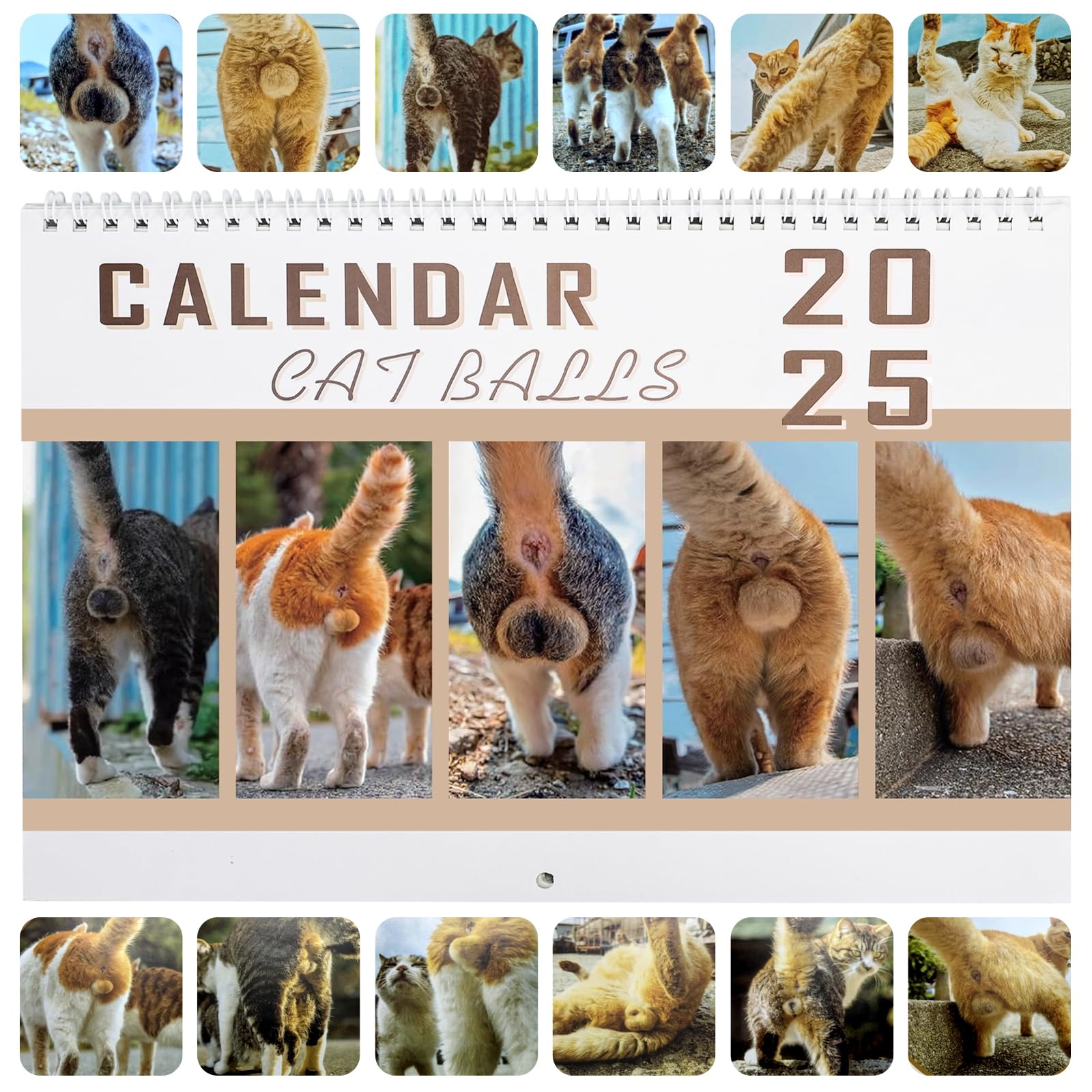 Amazon 2025 Wall Calendar 12 Monthly Funny Calendar 2025 Jan 2025 Dec 2025 White Elephant Gifts Cat Calendar Funny Wall Art Gag Humor Gift 2025 Calendar For Friends Funny Cats Calendar 2025 1 4