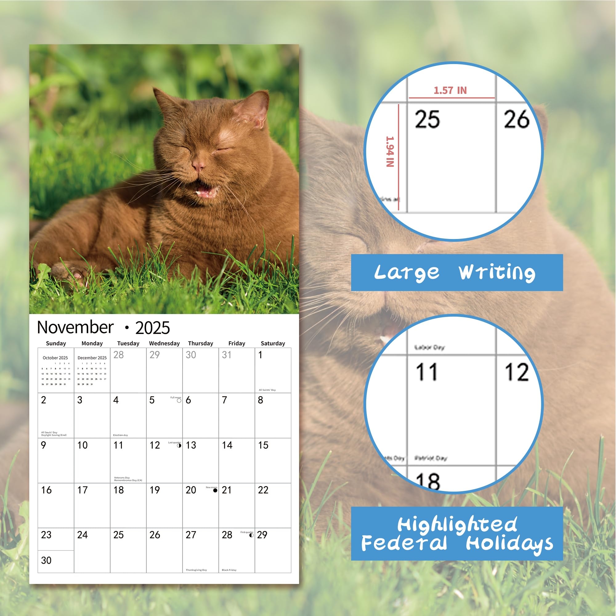 Amazon 2025 Wall Calendar Funny Calendar 2025 January 2025 December 2025 Wall Calendar Funny Animal Memes 12