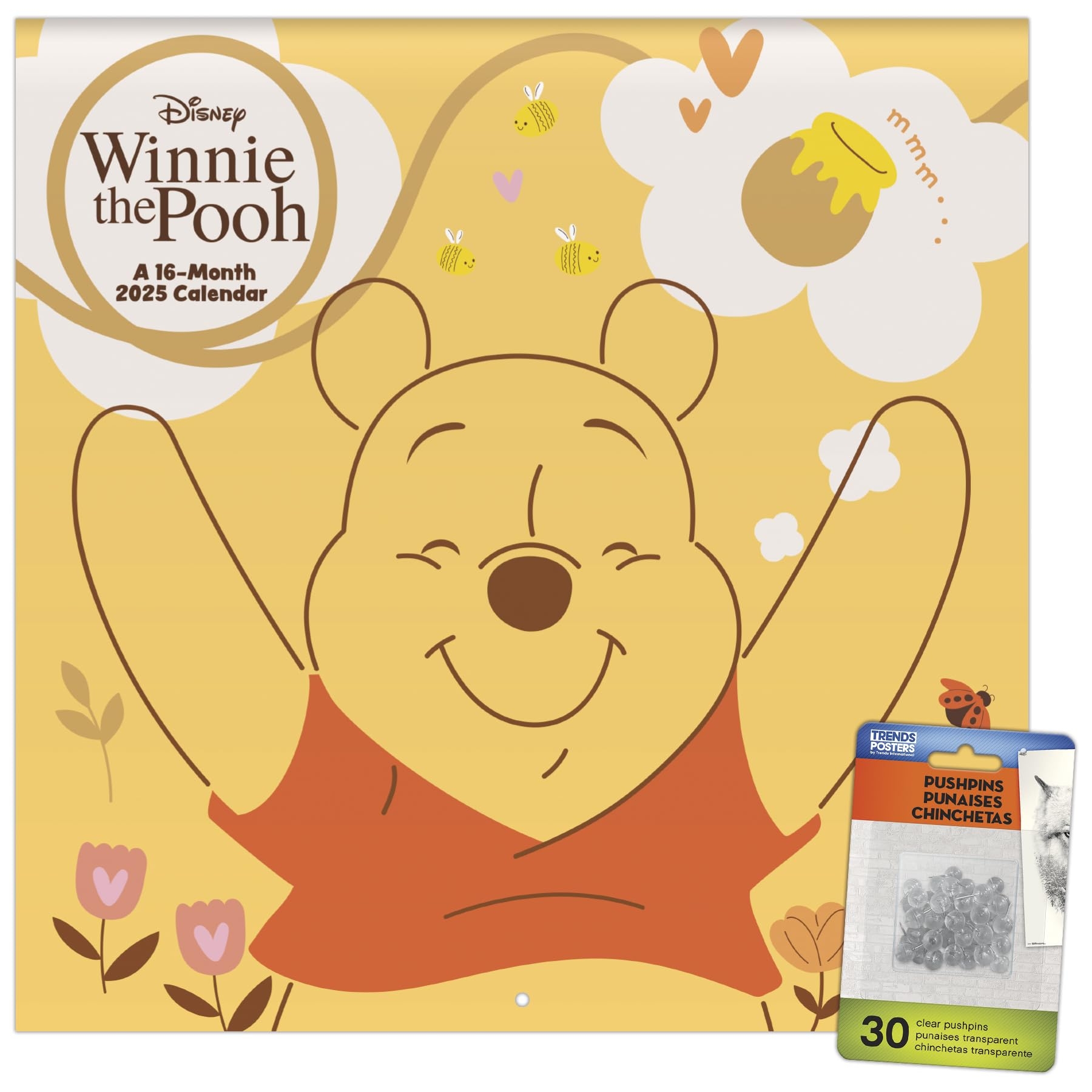 Amazon 2025 Winnie The Pooh Wall Calendar U0026 Push Pins Office Products