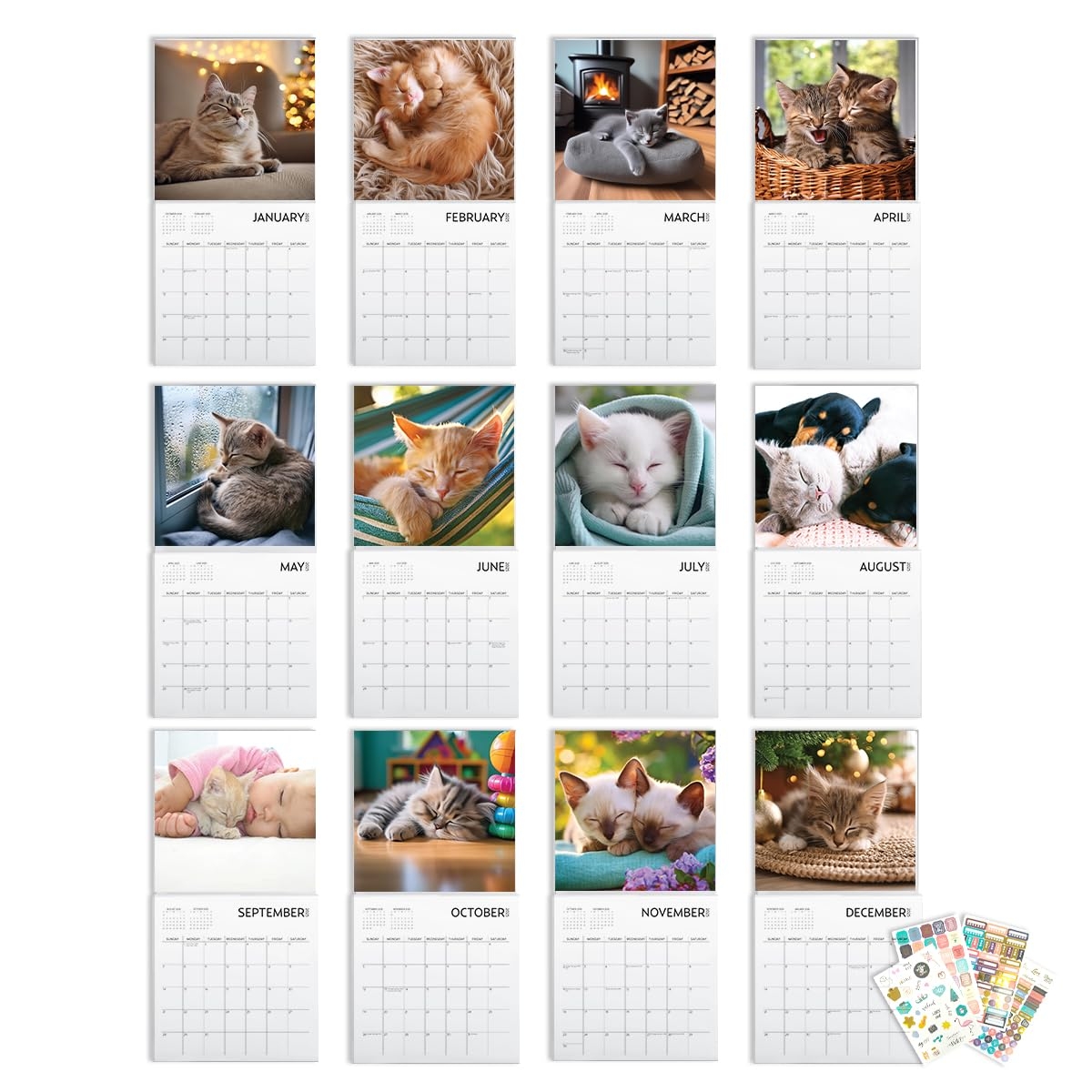 Amazon Cat Calendar 2025 With Sticker Pack Kitten Square Large Wall Calendar 12 X 12 Inch Yearly Cat Lover s Calendar And Sticker Set Office Products