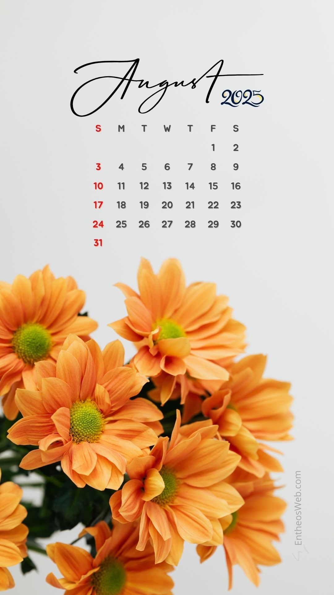 Orangetheory August Calendar 2025