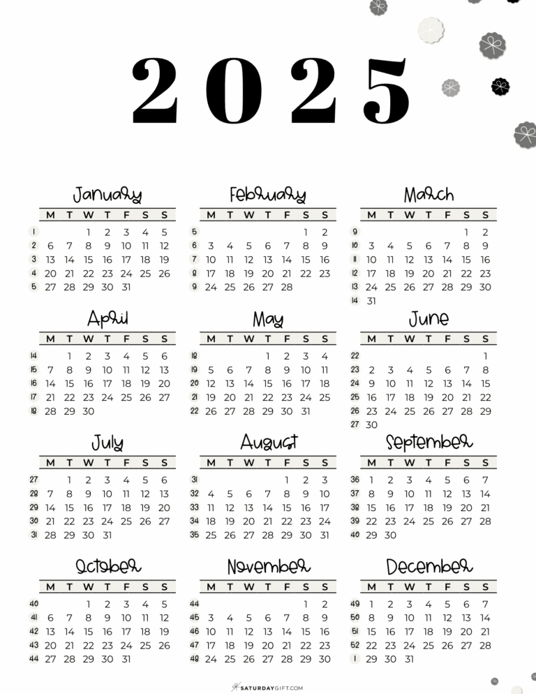 August Countdown How Many Days Until August 1 2025 