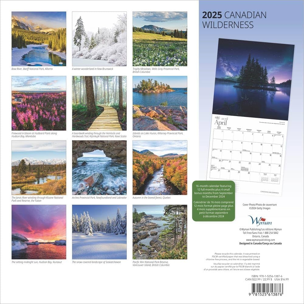Canadian Wilderness 2025 12 X 24 Inch Monthly Square Wall Calendar Wyman Publishing Regional Travel Nature Scenic Publishing Wyman Publishing Wyman Publishing Wyman 9781525613876 Books Amazon ca