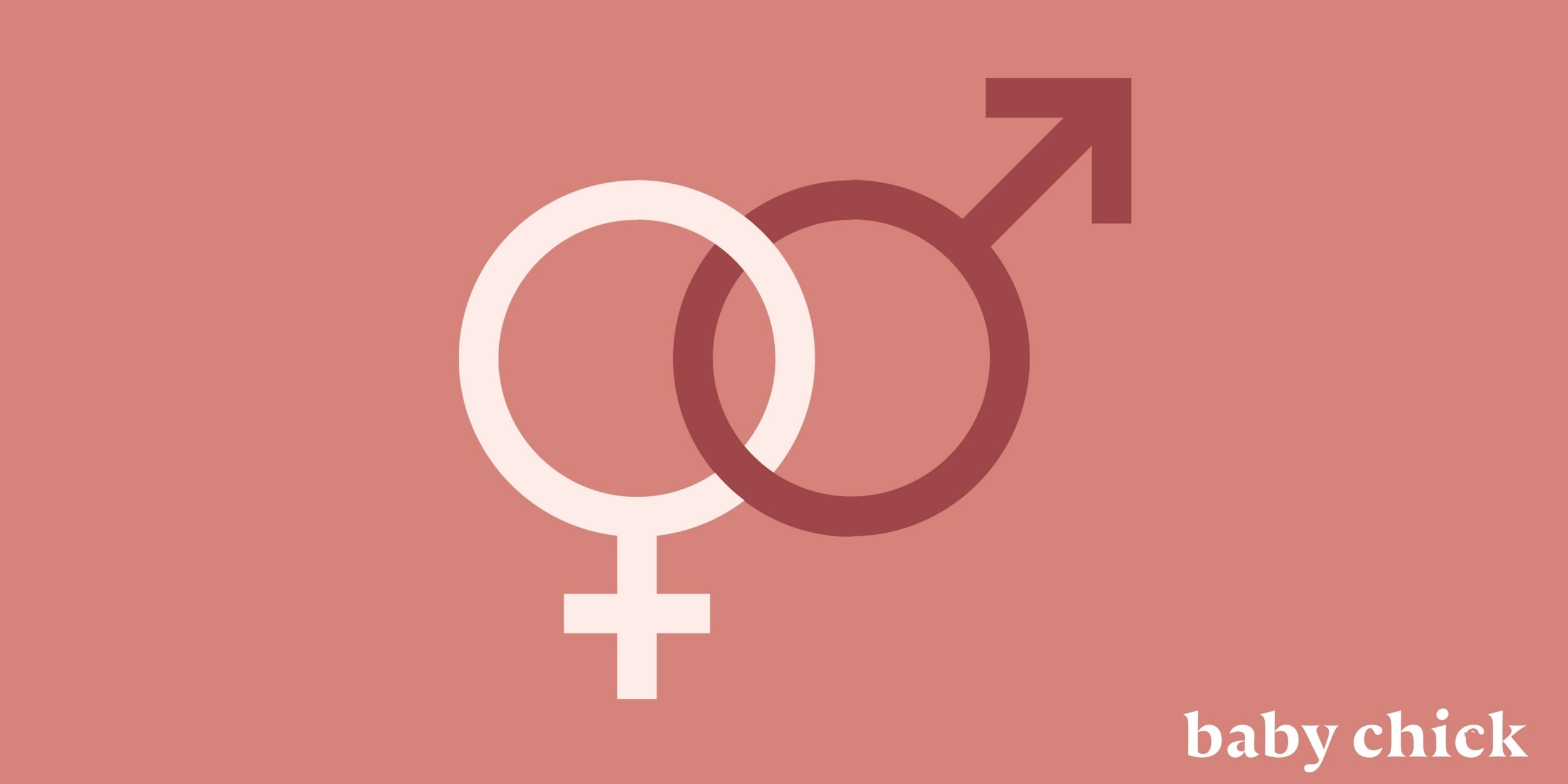 Chinese Calendar Baby Gender 2025 December