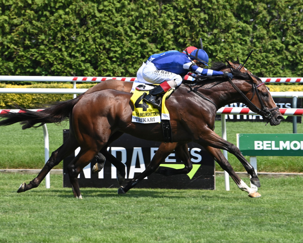 Horse Racing Calendar 2025 Fan Odds