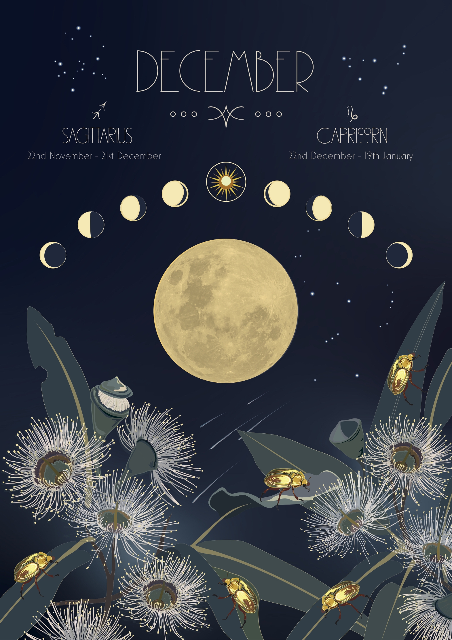 2025 Moon Calendar December