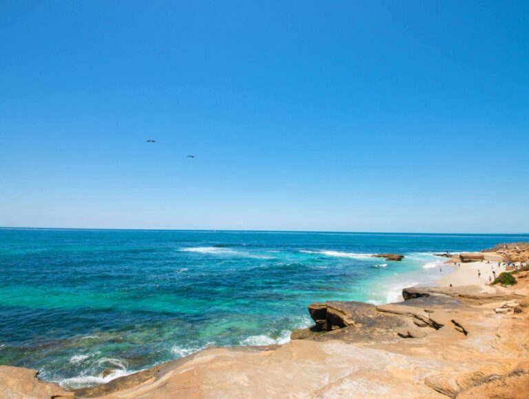 San Diego Events August 2025 Things To Do In August In San Diego CA