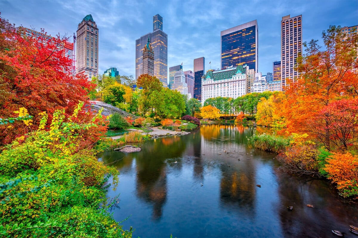 What To Do In New York In October 2025 New York City