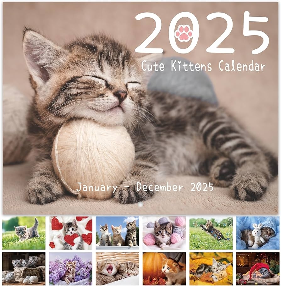 December 2025 Cat Calendar