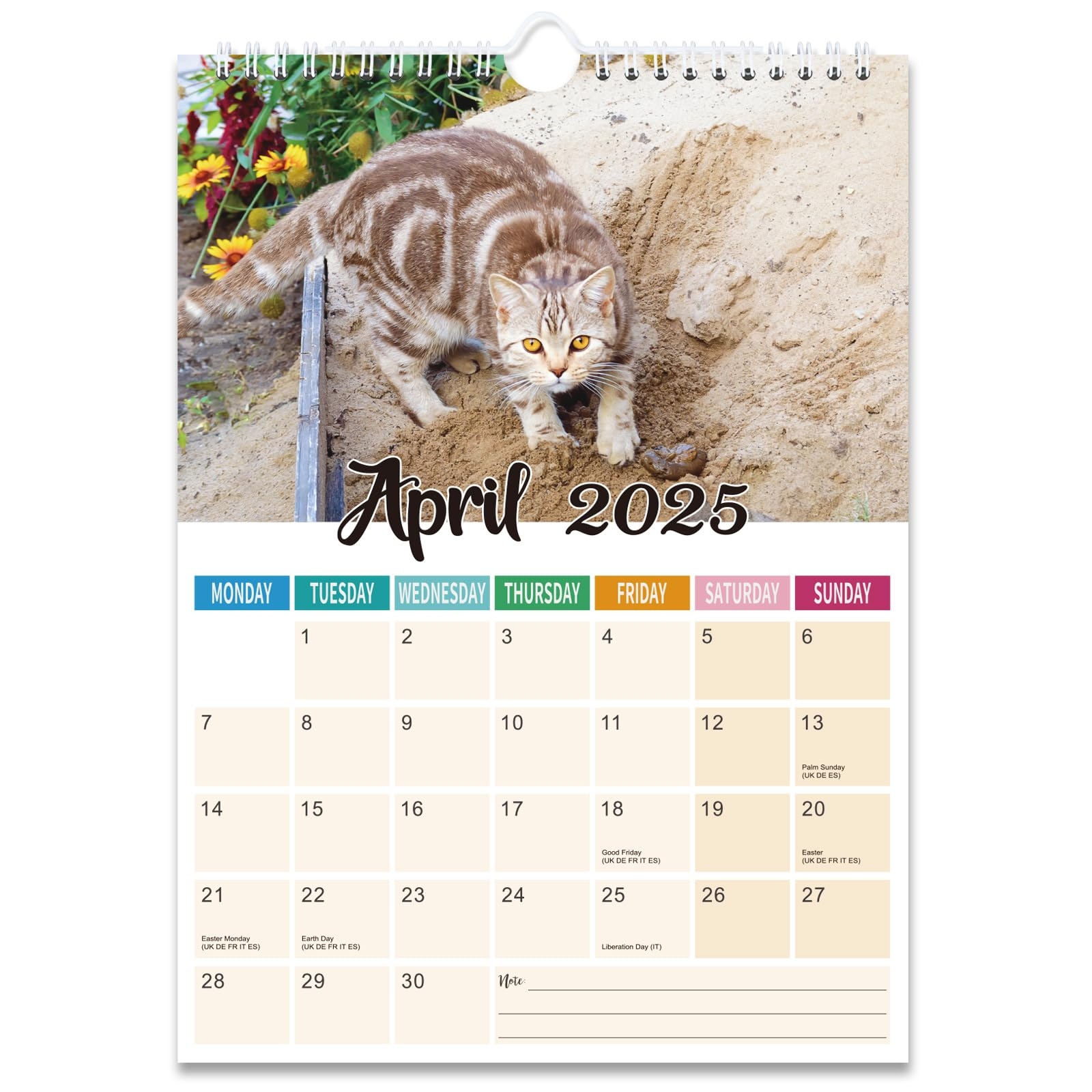 2025 Wall Calendar 2025 Pooping Cats Calendar Funny Calendar 2025 UK From January To December 2025 Perfect White Elephant Gifts Gag Gifts 12 Different Funny Pooping Cats 21 X 29 Cm Amazon co uk Stationery U0026 Office Supplies