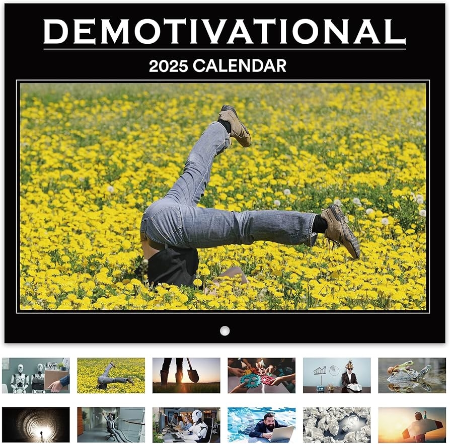2025 Wall Calendar Demotivational Calendar 2025 2025 Funny Calendar Jan 2025 Dec 2025 Wall Calendar 2025 Best For Office With Funny 