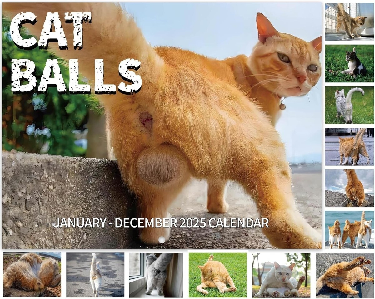 December 2025 Calendar Cats