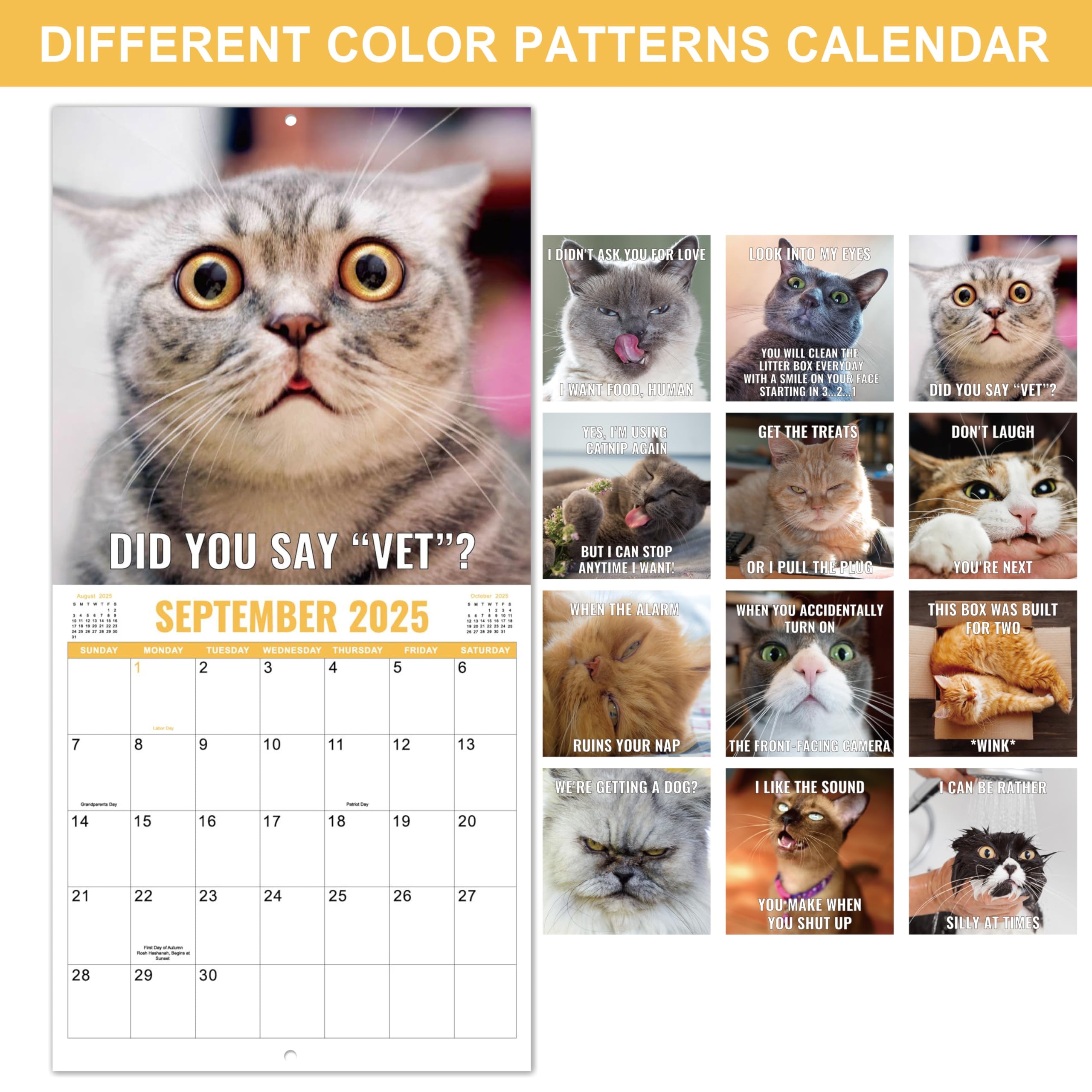 Amazon 2025 2026 Wall Calendar Funny Cats Calendar 2025 2026 12