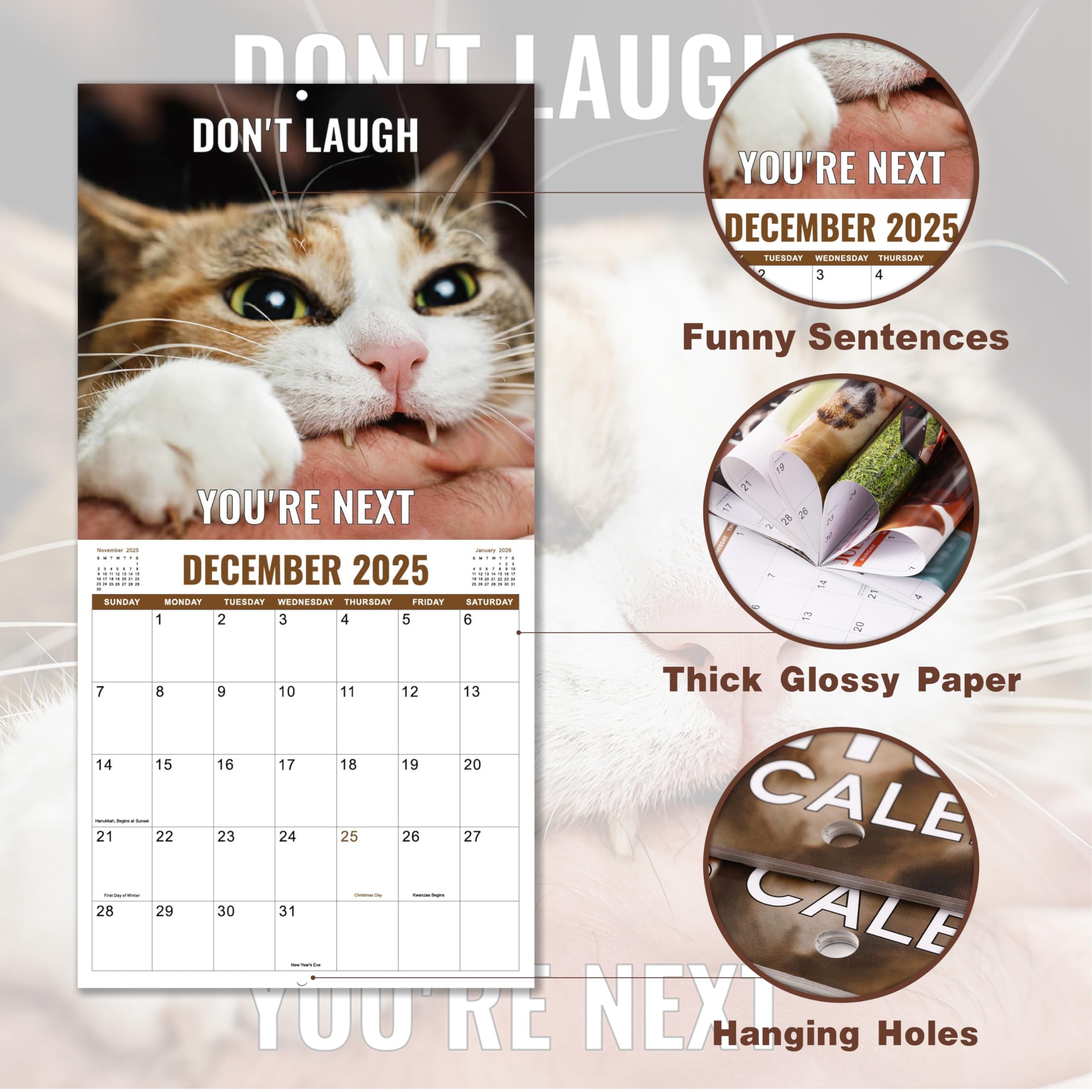 Amazon 2025 2026 Wall Calendar Funny Cats Calendar 2025 2026 12