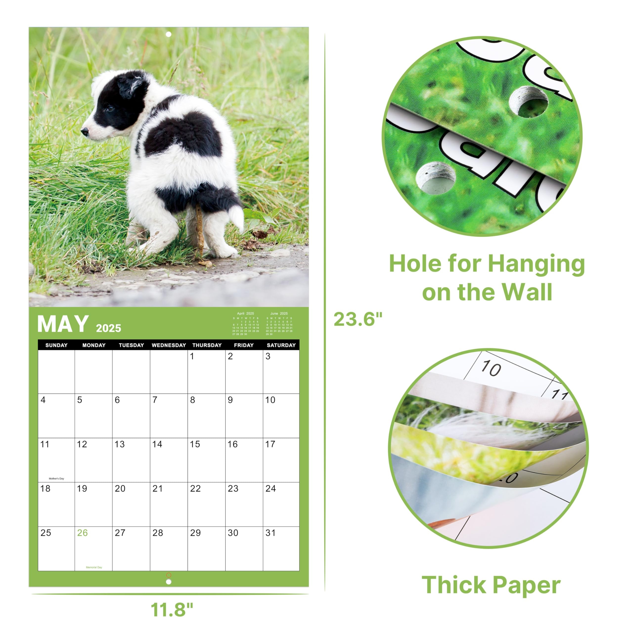 Amazon Gag Gifts Funny Dogs Wall Calendar 2025 Jan 2025 Dec 2025 11 8