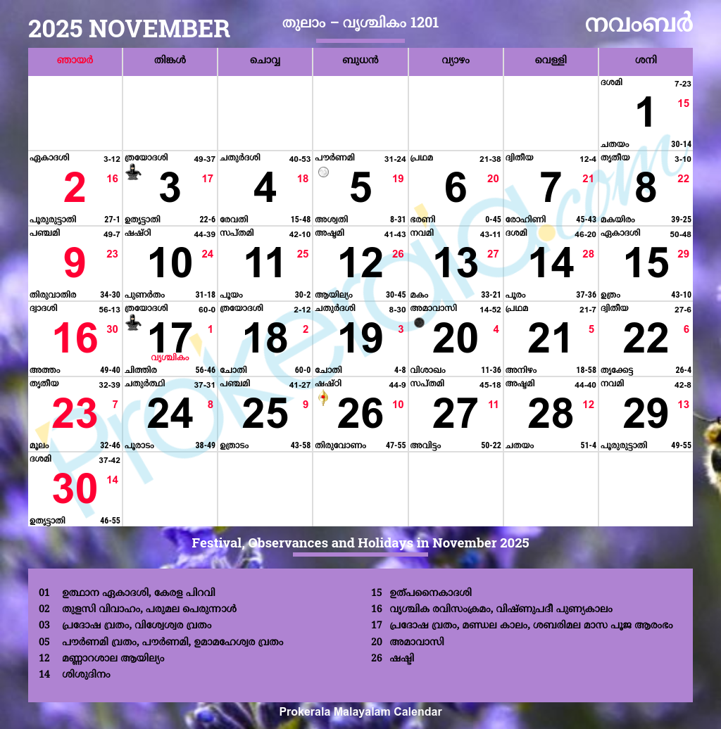 Holiday November 2025 Calendar